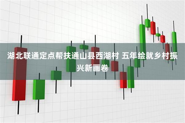 湖北联通定点帮扶通山县西湖村 五年绘就乡村振兴新画卷